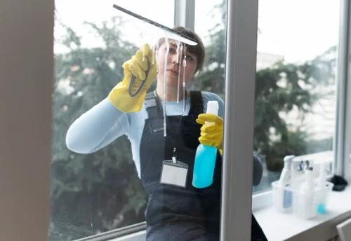 Nettoyage de vitres intérieures et extérieures à Reigny